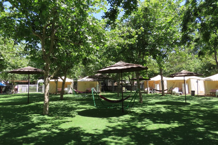 קיאקים בנהר הירדן, כאשר במרחק נראים אוהלי קמפינג על הדשא בכפר בלום