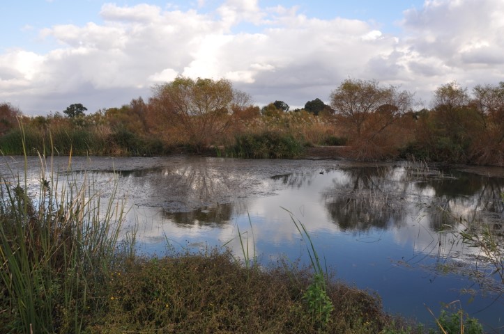 שמורת טבע, גן לאומי עין אפק   צילום: רונית סבירסקי