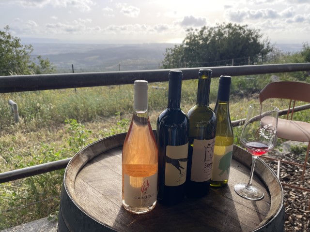 נופים הנשקפים ממרפסת יקב פלך אל הים התיכון