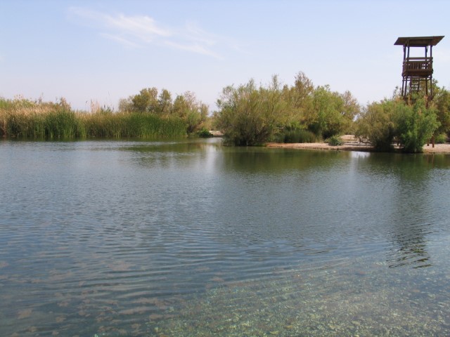 שמורת עיינות צוקים, בריכות מים מתוקים