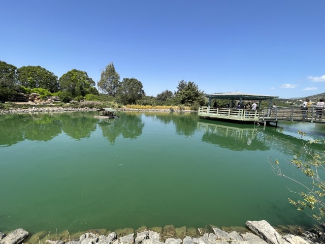 האגם הכחול במעלה צביה, פסטיבל בא לי גליל 2026