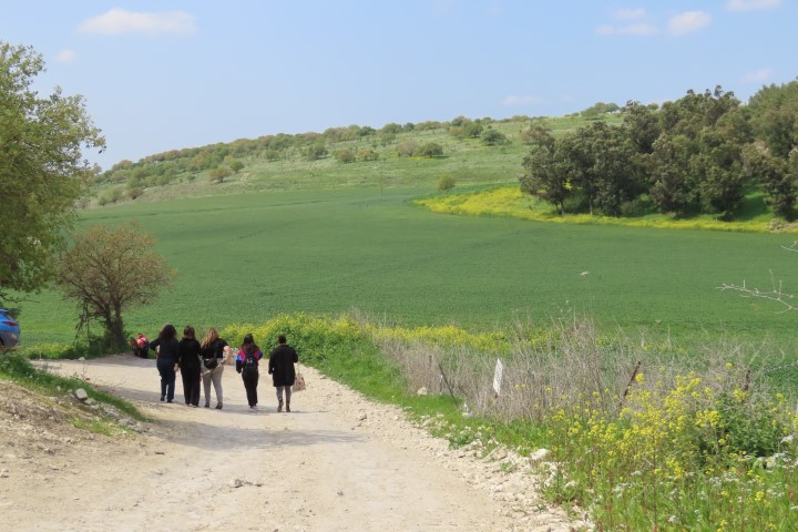 הופעה חיה בלב היער בפסטיבל מגדה ביערות מנשה