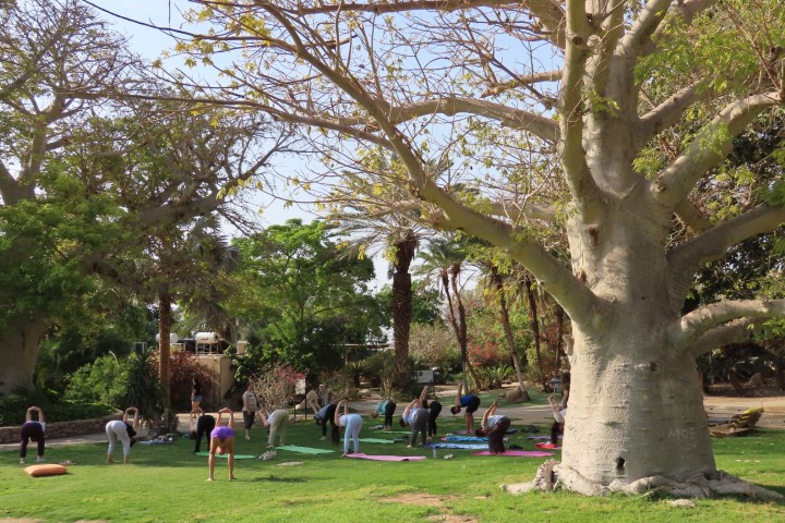 ריטריט גוף ונפש בעין גדי עם מופע ירח מלא