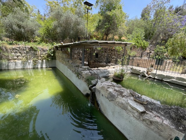 בריכות המים של בית המרחץ הרומי בעין יעל
