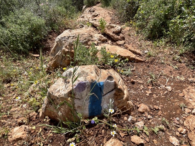 שביל בית הכרם שמסומן בסגול