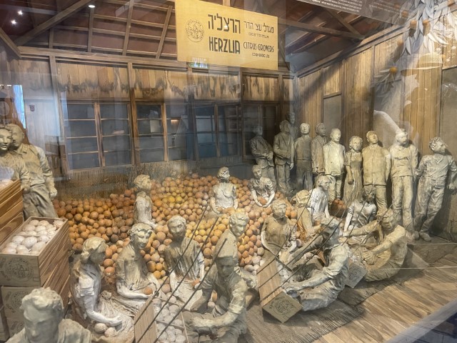 בית האריזה לתפוזים שפעל במושבה הרצליה בשנות ה-30