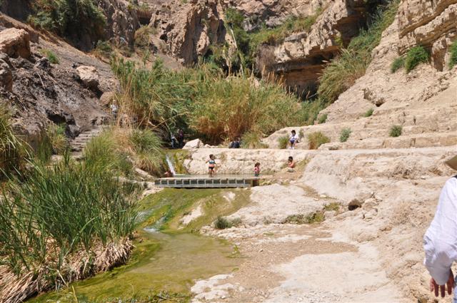 ערוץ נחל דוד בשמורת עין גדי במדבר יהודה