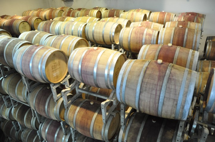 חדר חביות היין ביקב הרי גליל