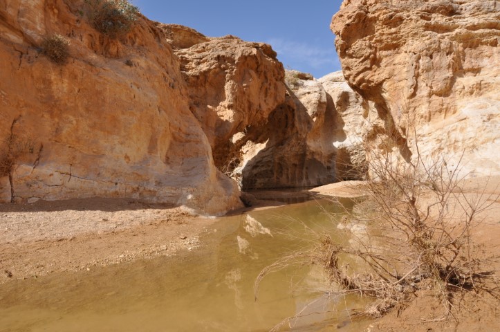 עין ירקעם בצפון הנגב לאחר גשמי החורף