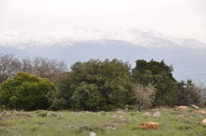 מבט פנורמי מדרך נוף הרי נפתלי אל הר החרמון המושלג