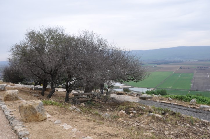 שולחן פיקניק בצל העצים בדרך נוף הרי נפתלי