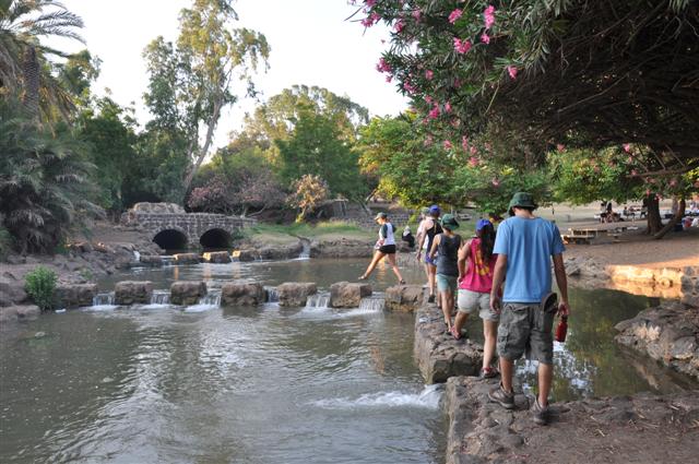 שמורת פארק הירדן &ndash; טבע ירוק ומקווי מים מצפון לכנרת
