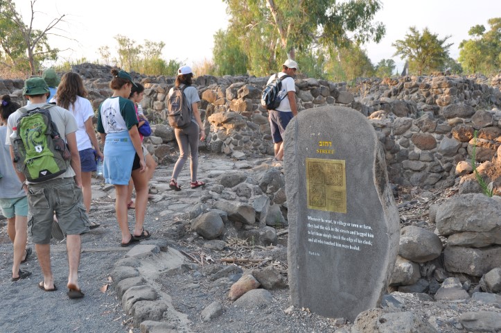 שמורת טבע מג'רסה בטיחה