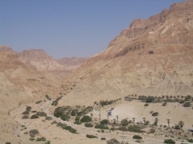 מצוקי ים המלח