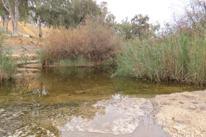 נחל גרר בצפון הנגב עם צמחיית נחלים