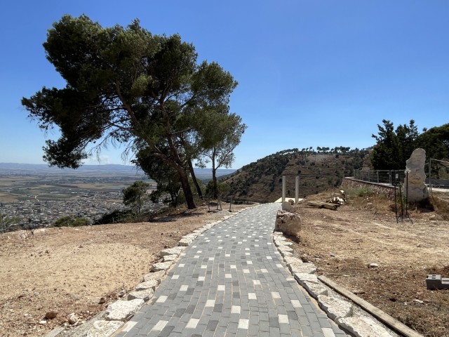 מקטע מטיילת יער צ'רצ'יל בנוף הגליל