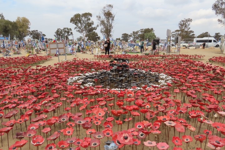 כלניות אדומות ושחורות מקרמיקה בחניון רעים