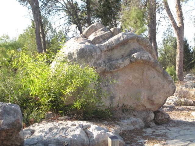 יער בן שמן    צילום: רונית סבירסקי