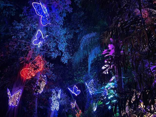 פרפרים מוארים בצבעים שונים על צמרות העצים בגן הטרופי