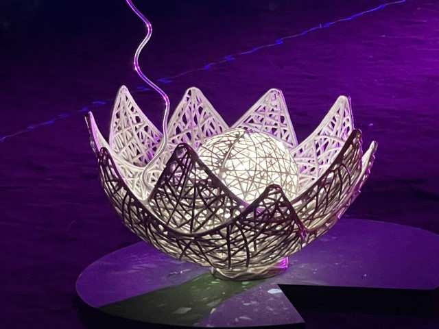 פרחי לוטוס מוארים הצפים על פני המים