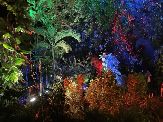 תאורת צבעים מאירה צמחייה ועצים בגן הטרופי