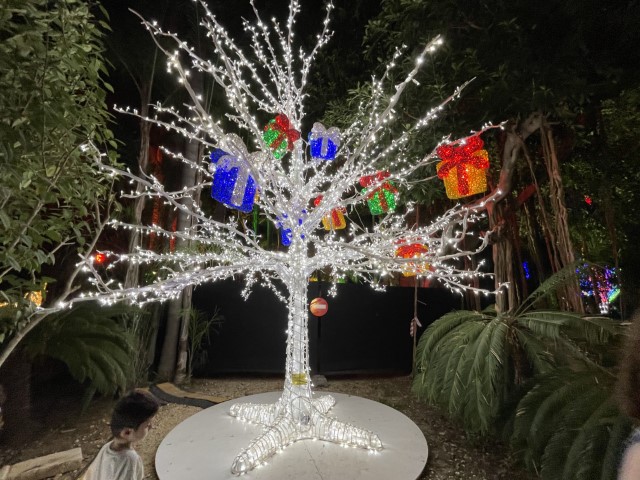 עץ מתנות מואר מקושט בקופסאות אור