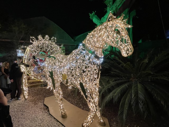 כרכרת קריסטמס מוארת הרתומה לסוס