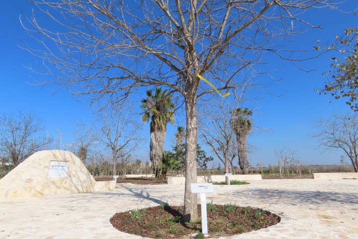 בריכת חורף ויער שירים בפתח תקווה בעונת החורף