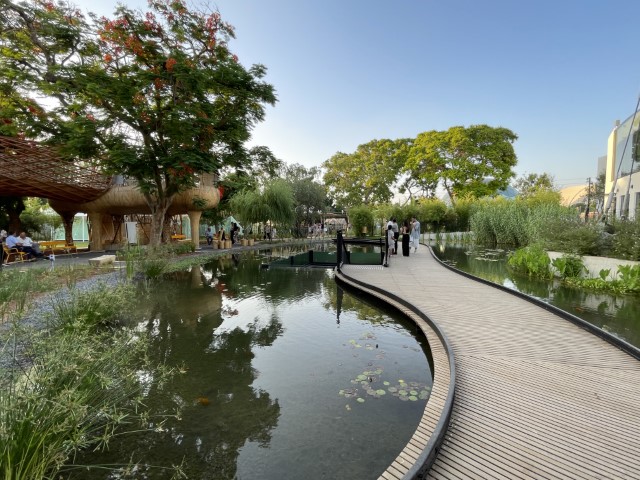 גן המדע במכון דוידסון        צילום: רונית סבירסקי