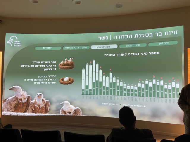 נשרים בסכנת הכחדה בישראל