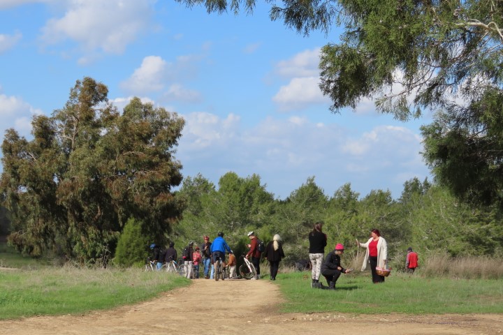 מסלולי הליכה וסינגל אופניים ביער ניר משה