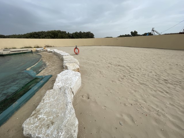 חוף הטלה ייעודי ובריכת רבייה לצבי ים