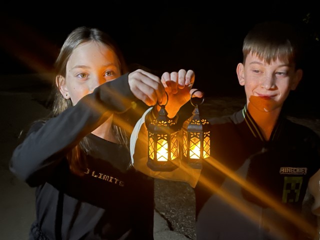 סיור עששיות לילי ביער בן שמן