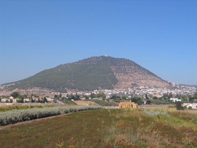 חצי מרתון תבור