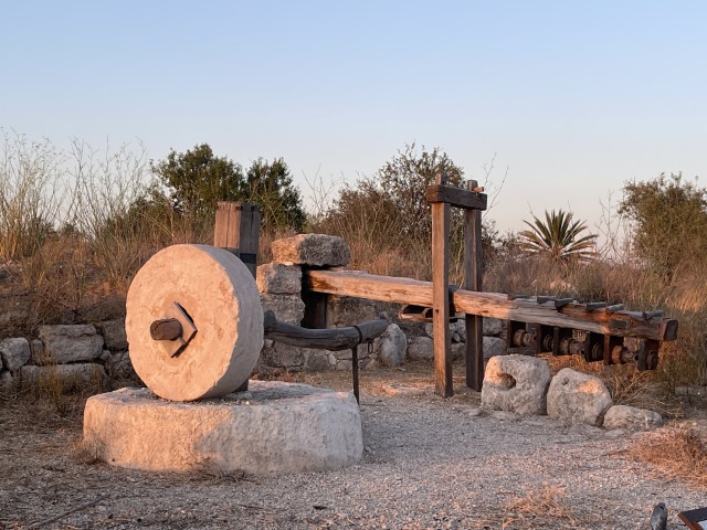 בית בד משוחזר בגבעת תיתורה במודיעין