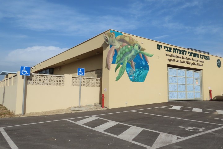 מרכז המבקרים החדש להצלת צבי ים במכמורת