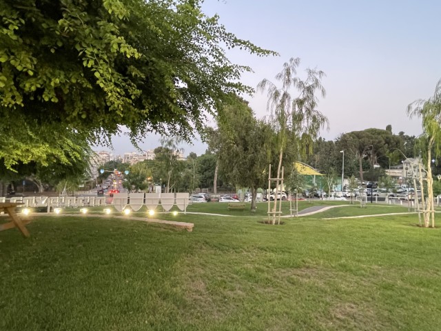 גינת בר טבעית על הגבעה בקיבוץ גבעת השלושה ההיסטורי  צילום: רונית סבירסקי