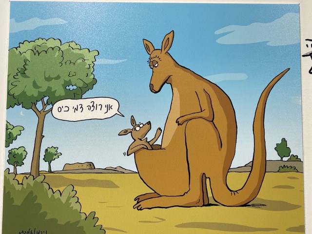 קנגורו שמבקש דמי כיס, איור של נירמו אלנבוגן