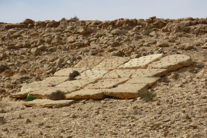 הפסל גבים של דב הלר במצפה רמון