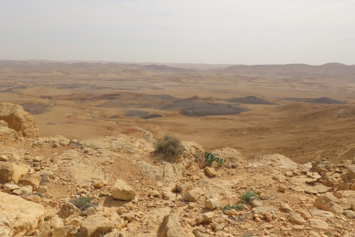 תצפית פנורמית אל מכתש רמון מגן הפסלים