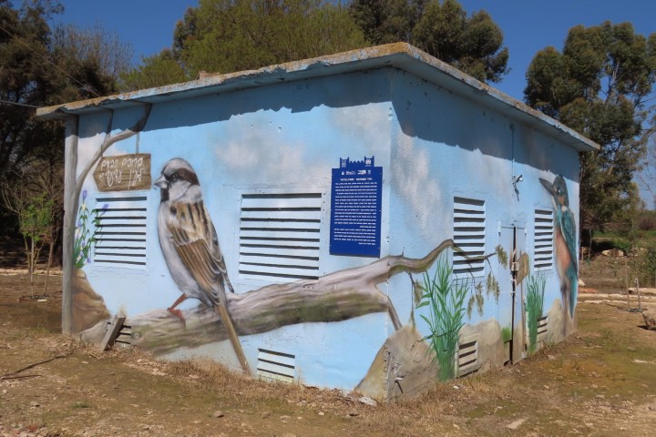 גרפיטי של ציפורים מקומיות במעיין עדעד