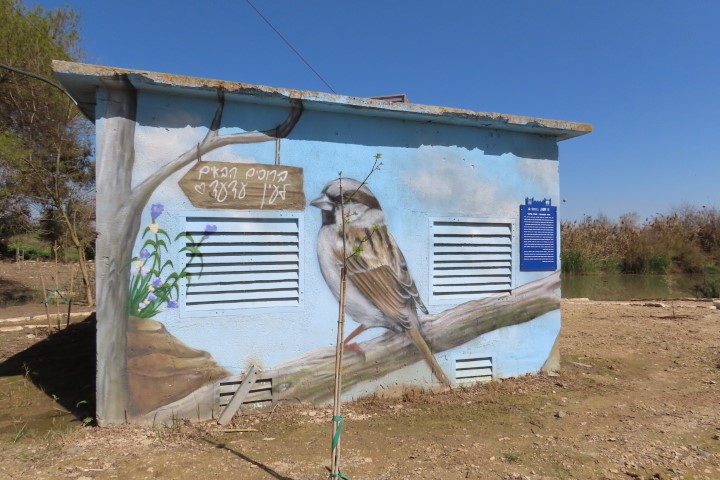 גרפיטי של בנצי ברופמן במעיין עדעד