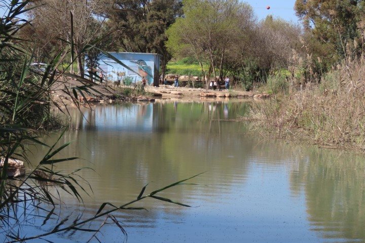 בריכת מעיין עדעד מוקפת קני סוף