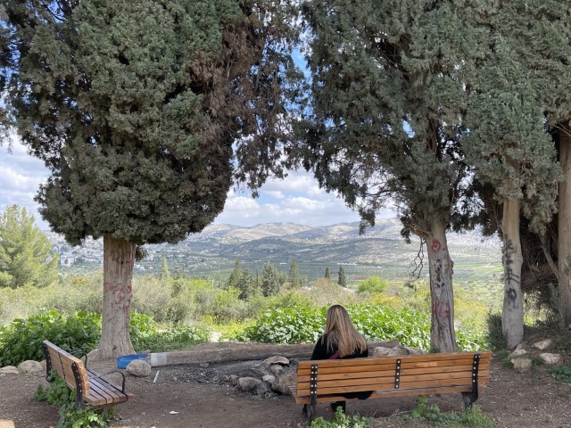 ספסל תצפית בין עצי הברוש המשקיף אל הרי יהודה