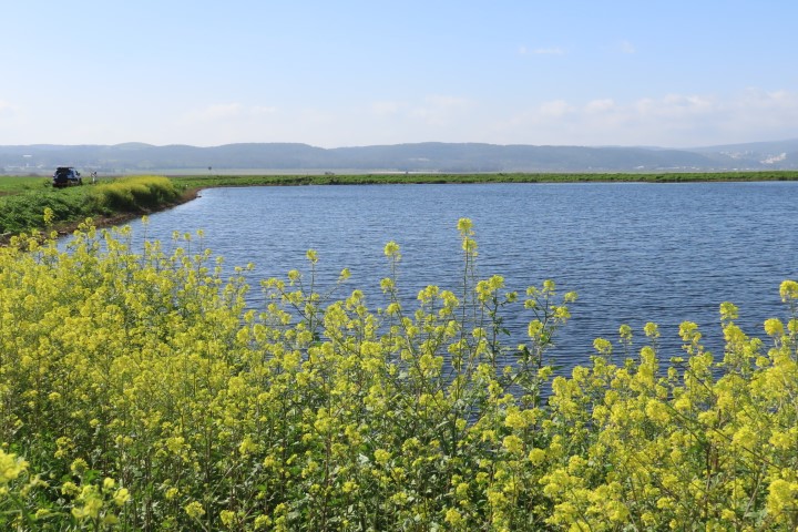 מאגר מים של מקורות בשדות מושב היוגב
