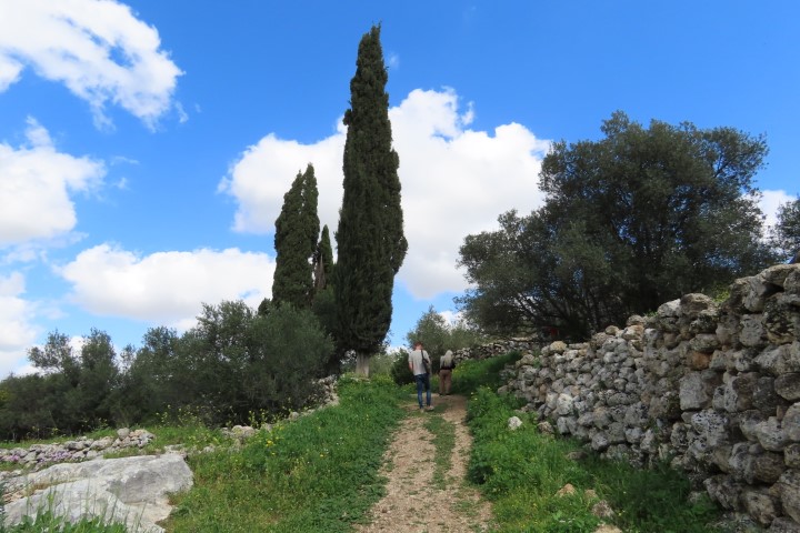 שביל הליכה בגבעת הברושים מודיעין