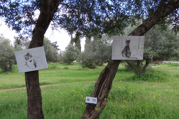 יצירת נקודת מבט של האמנית אופירה אוריאל בגבעת הברושים