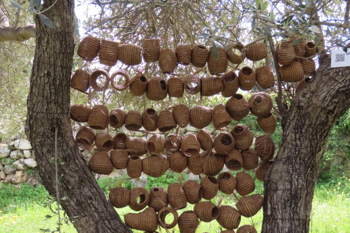 סלסלות קטנות ממחטי אורן של האמנית אפרת שוחט בגבעת הברושים
