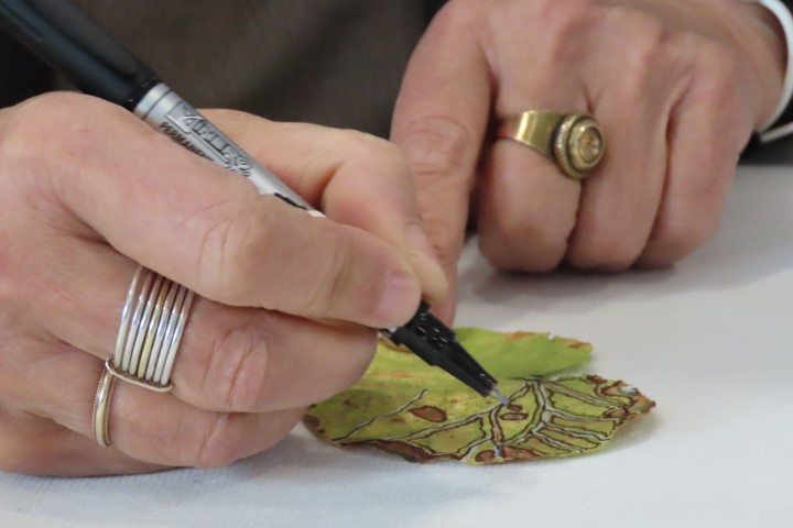 האמנית אופירה אוריאל מציירת על עלה יבש בסדנה במוזיאון החשמונאים