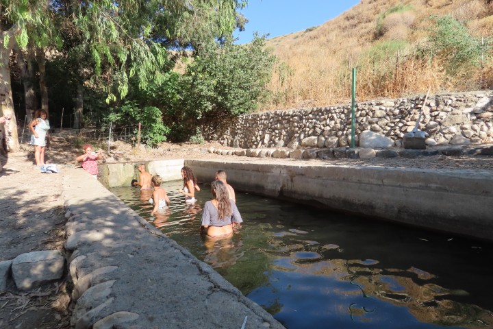 מעיינות ברמת הגולן